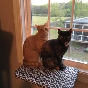 Meet your Posher, Marlu